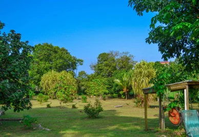 Flore Camerounaise Framotel Kribi Jardin luxuriant de l'hôtel