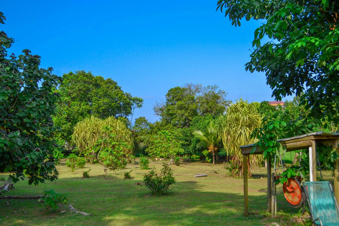 Flore Camerounaise Framotel Kribi Jardin luxuriant de l'hôtel