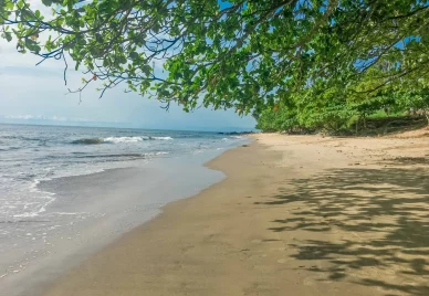 Kribi plage pardisiaque de Ngoyè au Cameroun 2