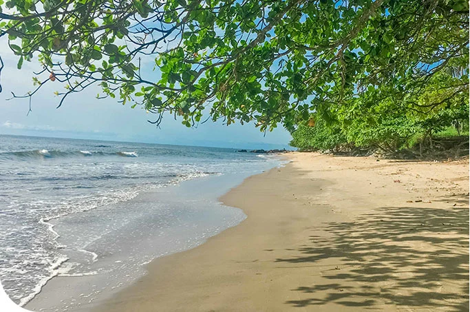 Kribi plage paradisiaque de Ngoye au Cameroun